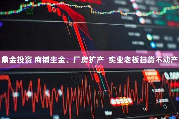 鼎金投资 商铺生金、厂房扩产  实业老板扫货不动产